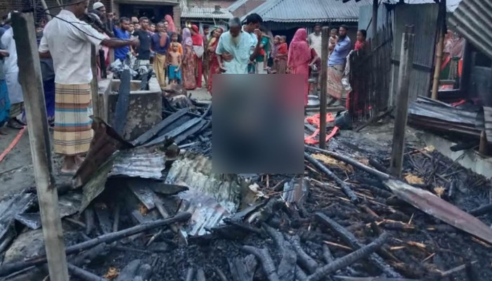 আগুনে পুড়ে ছাই কৃষকের ৪ গরু আগুনে পুড়ে ছাই কৃষকের ৪ গরু
