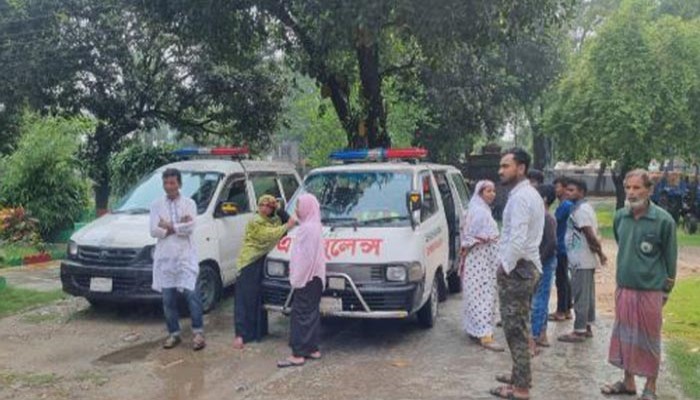 ​ফুলবাড়ীতে বৃষ্টিতে পচছে বোরো ধান, কৃষক চিন্তিত