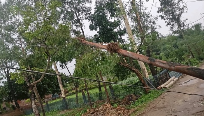 ঠাকুরগাঁওয়ের রাণীশংকৈলে কালবৈশাখি ঝড়ে ব্যাপক ক্ষয়ক্ষতি