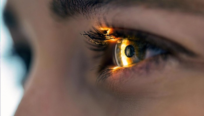 নিয়ম করে পাঁচটি খাবার খেলে বয়স বাড়লেও ছানি পড়বে না চোখে,  বাড়বে দৃষ্টি নিয়ম করে পাঁচটি খাবার খেলে বয়স বাড়লেও ছানি পড়বে না চোখে,  বাড়বে দৃষ্টি