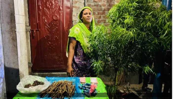 নাটোরে যৌথ বাহিনীর অভিযানে নারী মাদক ব্যবসায়ী গ্রেফতার নাটোরে যৌথ বাহিনীর অভিযানে নারী মাদক ব্যবসায়ী গ্রেফতার