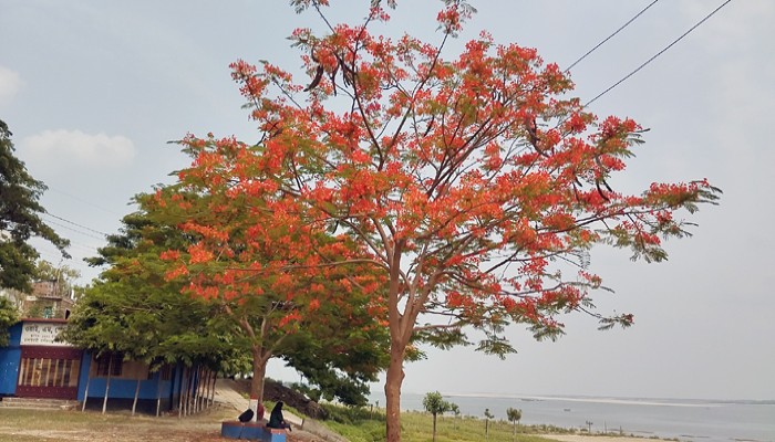 গ্রীষ্মের গরমে