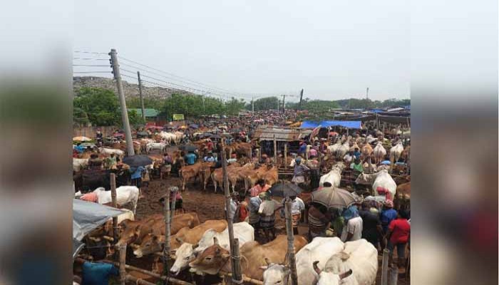 ঈদুল আজহায় গরুর হাটে পকেটমার থেকে সাবধান ঈদুল আজহায় গরুর হাটে পকেটমার থেকে সাবধান