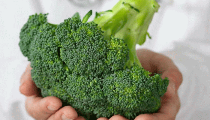 তিন ধরনের ক্যানসার প্রতিরোধের ক্ষমতা আছে ব্রোকোলির! তিন ধরনের ক্যানসার প্রতিরোধের ক্ষমতা আছে ব্রোকোলির!