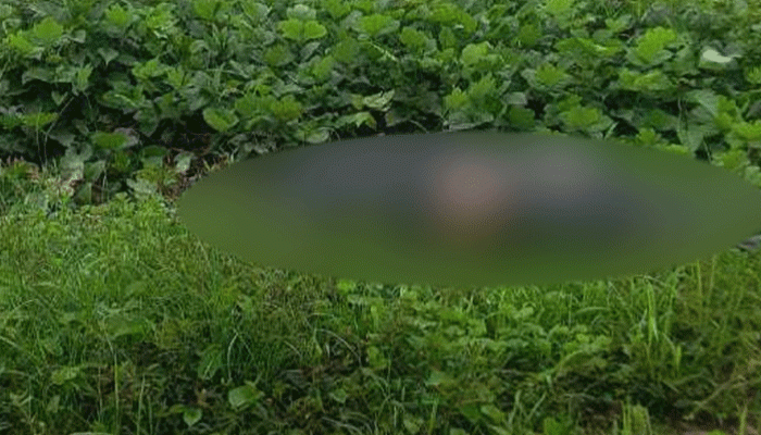 কুমিল্লায় রেললাইনের পাশ থেকে অজ্ঞাতপরিচয় যুবকের মরদেহ উদ্ধার