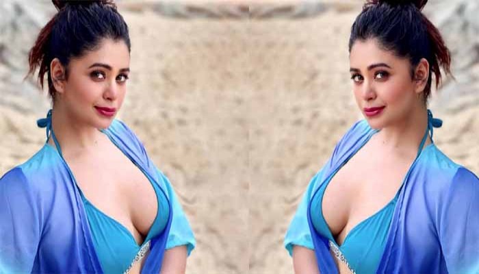 সুমিতের সঙ্গেই সাতপাকে ঋতাভরী সুমিতের সঙ্গেই সাতপাকে ঋতাভরী