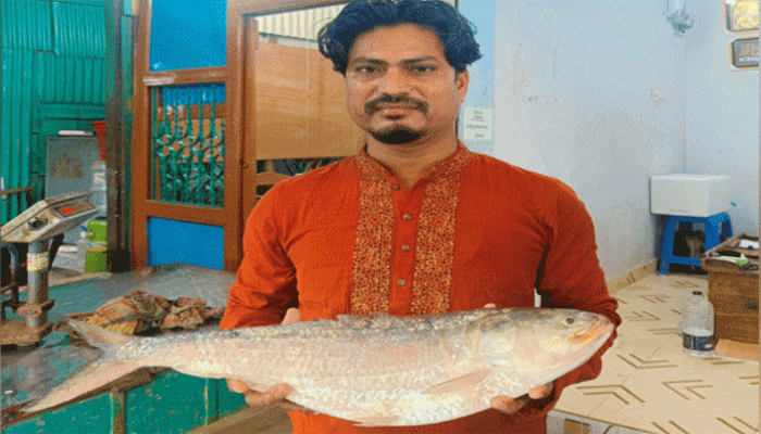 এক ইলিশের দাম ১৩ হাজার ৫০০ টাকা
