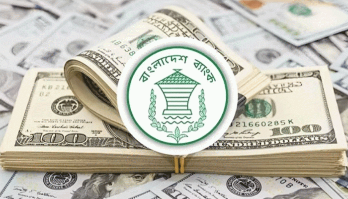 রিজার্ভ ৩০ বিলিয়ন ডলার ছাড়াল রিজার্ভ ৩০ বিলিয়ন ডলার ছাড়াল