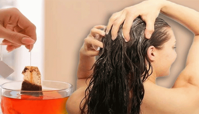 রুক্ষ চুল জেল্লা ফেরাতে এই পন্থা পরখ করে দেখুন রুক্ষ চুল জেল্লা ফেরাতে এই পন্থা পরখ করে দেখুন