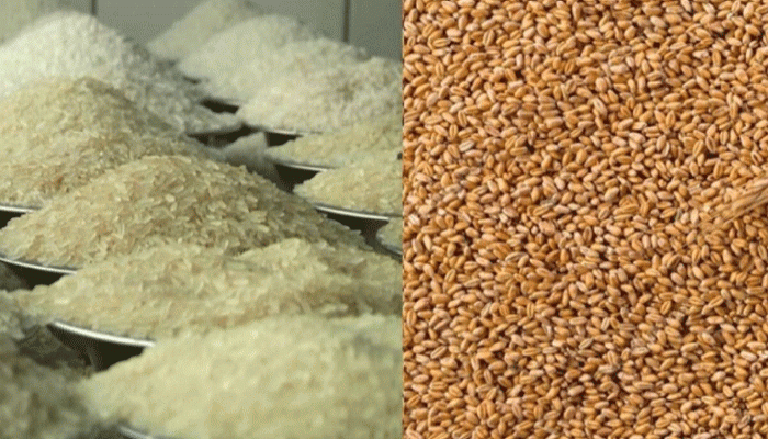 দেশে চালের মজুত বেড়েছে, কমেছে গমের