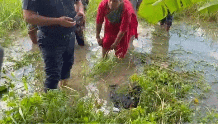 শরীয়তপুরে ধান খেতে ঘাসচাপা মাদ্রাসা ছাত্রীর লাশ