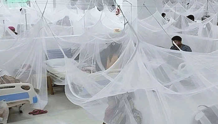 সারাদেশে ডেঙ্গুতে নতুন শনাক্ত ২০৪ জন সারাদেশে ডেঙ্গুতে নতুন শনাক্ত ২০৪ জন