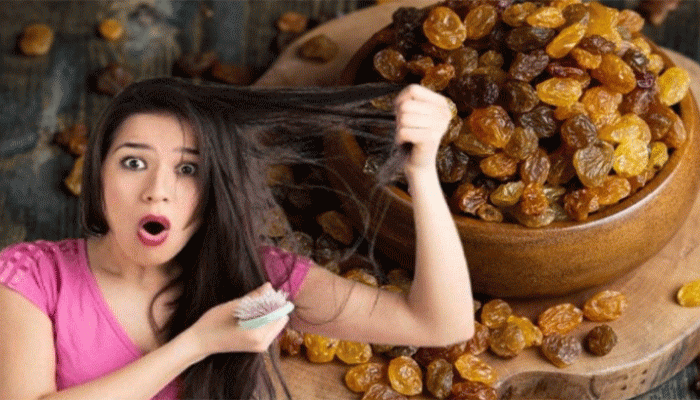 বর্ষায় চুল পড়া, খুশকির সমস্যা, কিশমিশ দিয়েই হবে মুশকিল আসান বর্ষায় চুল পড়া, খুশকির সমস্যা, কিশমিশ দিয়েই হবে মুশকিল আসান