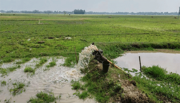 ফুলবাড়ীতে খরায় জমিতে ফাটল, বৃষ্টির প্রহর গুণছেন কৃষকরা ফুলবাড়ীতে খরায় জমিতে ফাটল, বৃষ্টির প্রহর গুণছেন কৃষকরা