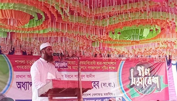 দিল্লির আধিপত্যবাদকে উৎখাত করেছি, ওয়াশিংটনের দাসত্বের জন্য নয়: মামুনুল হক