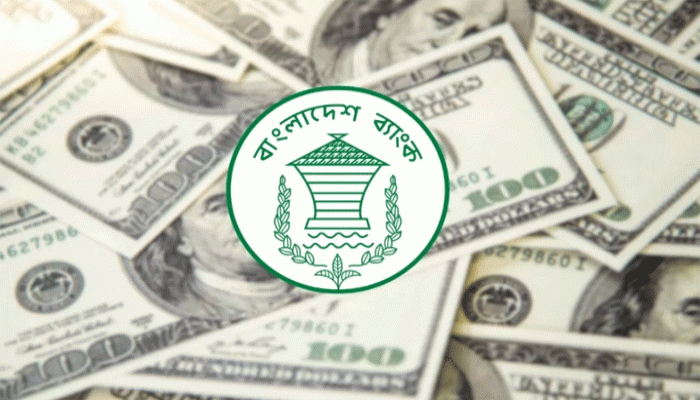 জুলাইয়ের ৩ সপ্তাহে রেমিট্যান্স এলো ১৭০ কোটি ডলার জুলাইয়ের ৩ সপ্তাহে রেমিট্যান্স এলো ১৭০ কোটি ডলার