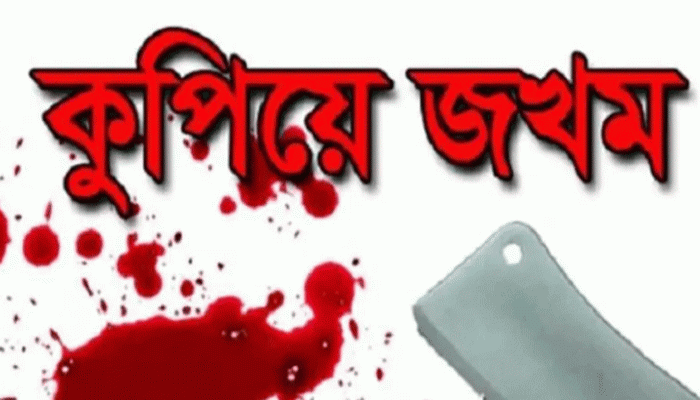 রাণীনগরে বিদ্যালয়ের নৈশ প্রহরীকে কুপিয়ে জখম, আটক -২