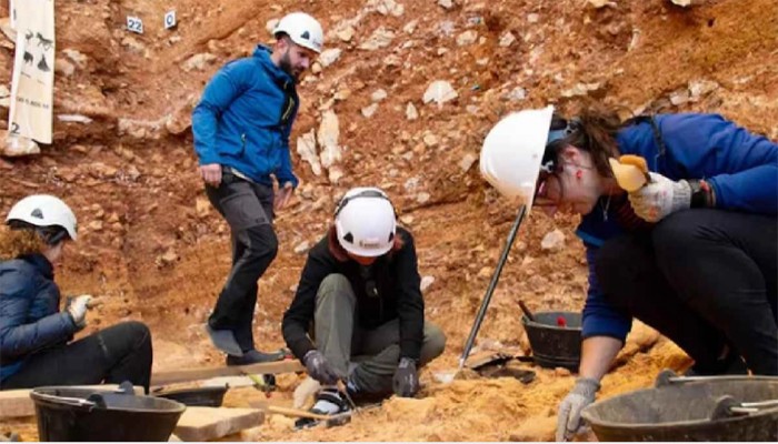 অন্যান্য পশুর মতোই আদিম মানুষরা খেয়ে ফেলত শিশুদের, চাঞ্চল্যকর আবিষ্কার বিশ্বজুড়ে অন্যান্য পশুর মতোই আদিম মানুষরা খেয়ে ফেলত শিশুদের, চাঞ্চল্যকর আবিষ্কার বিশ্বজুড়ে