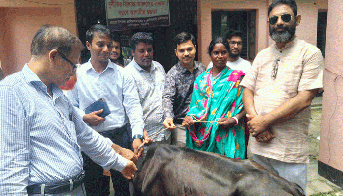 রাণীশংকৈলে সমতল আদিবাসিদের মাঝে গরু বিতরণ রাণীশংকৈলে সমতল আদিবাসিদের মাঝে গরু বিতরণ
