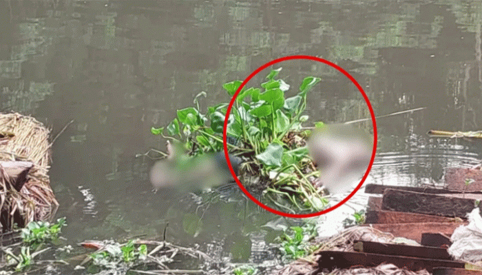 কচুরিপানার সঙ্গে খালে ভেসে এলো মরদেহ কচুরিপানার সঙ্গে খালে ভেসে এলো মরদেহ