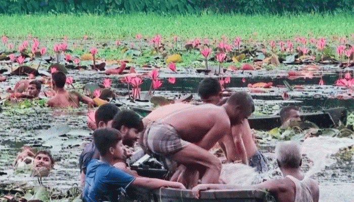 গাজীপুরে শাপলা তুলতে গিয়ে বিলে ডুবে দুই বন্ধুর মৃত্যু গাজীপুরে শাপলা তুলতে গিয়ে বিলে ডুবে দুই বন্ধুর মৃত্যু