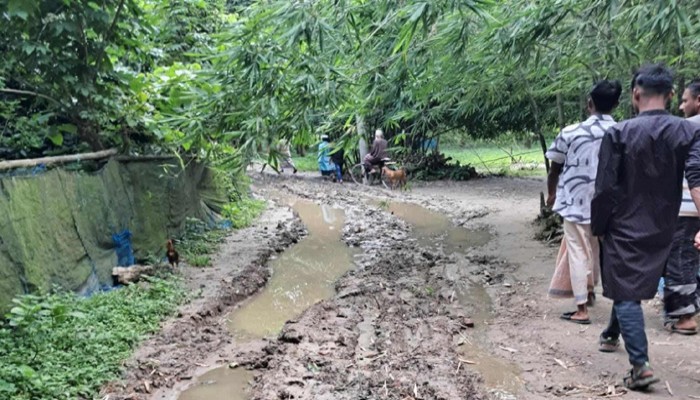 গোরস্থানের রাস্তার বেহাল দশা; সংশ্লিষ্ট কর্তৃপক্ষের হস্তক্ষেপ কামনা স্থানীয়দের গোরস্থানের রাস্তার বেহাল দশা; সংশ্লিষ্ট কর্তৃপক্ষের হস্তক্ষেপ কামনা স্থানীয়দের