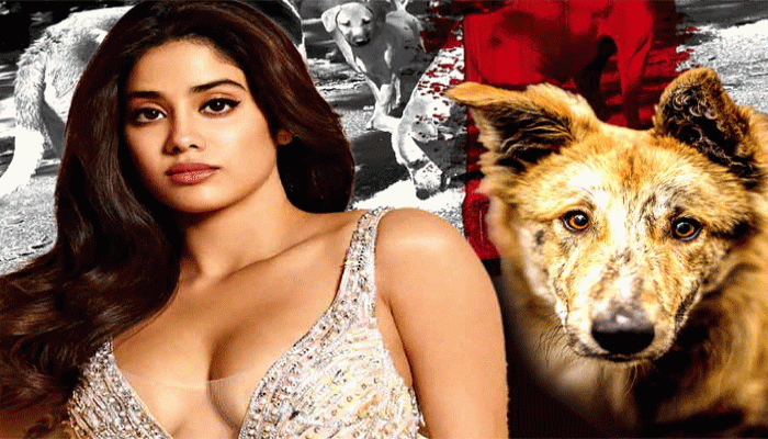 রাস্তা পরিষ্কার করতে ৩০ লক্ষ কুকুরকে মারা হবে! প্রশাসনিক সিদ্ধান্তের বিরুদ্ধে কী করলেন জাহ্নবী? রাস্তা পরিষ্কার করতে ৩০ লক্ষ কুকুরকে মারা হবে! প্রশাসনিক সিদ্ধান্তের বিরুদ্ধে কী করলেন জাহ্নবী?