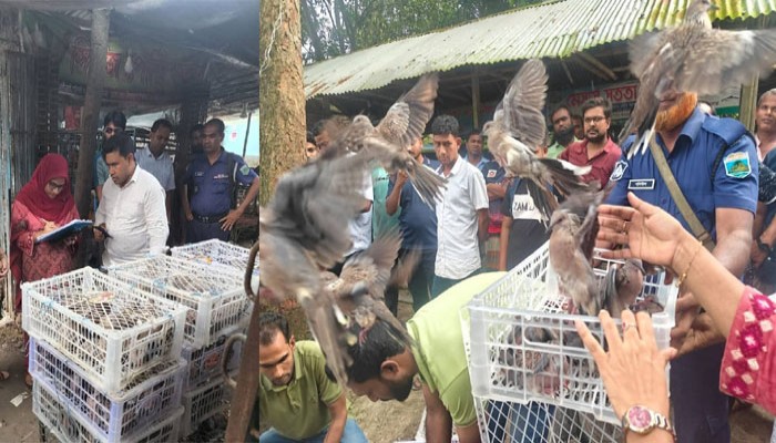 দেখ ভাল কাজ কত সহজেই করা যায়, বাঘা উপজেলা নির্বাহী অফিসার শাম্মি আক্তার দেখ ভাল কাজ কত সহজেই করা যায়, বাঘা উপজেলা নির্বাহী অফিসার শাম্মি আক্তার