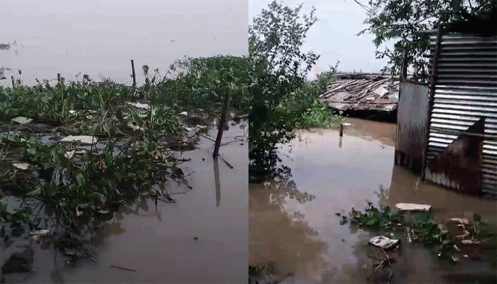 পদ্মার পানি বিপৎসীমার সন্নিকটে, চরাঞ্চলের পর এবার পদ্মা পাড়ের বসতী প্লাবিত