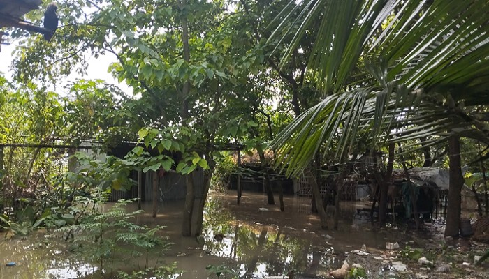 বাংলাদেশে বন্যার আশঙ্কা: ১২টি জেলা ঝুঁকির মুখে বাংলাদেশে বন্যার আশঙ্কা: ১২টি জেলা ঝুঁকির মুখে