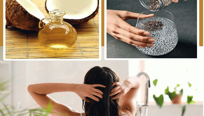 নারকেল-চিয়া বীজের যুগলবন্দিতেই শুষ্ক চুলে ফিরবে প্রাণ! নারকেল-চিয়া বীজের যুগলবন্দিতেই শুষ্ক চুলে ফিরবে প্রাণ!