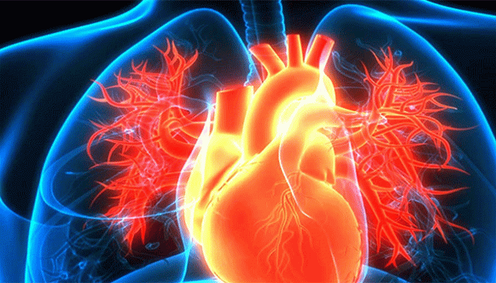 হৃদ্যন্ত্র ভাল রাখতে সাহায্য করবে সকালের ৫ অভ্যাস হৃদ্যন্ত্র ভাল রাখতে সাহায্য করবে সকালের ৫ অভ্যাস