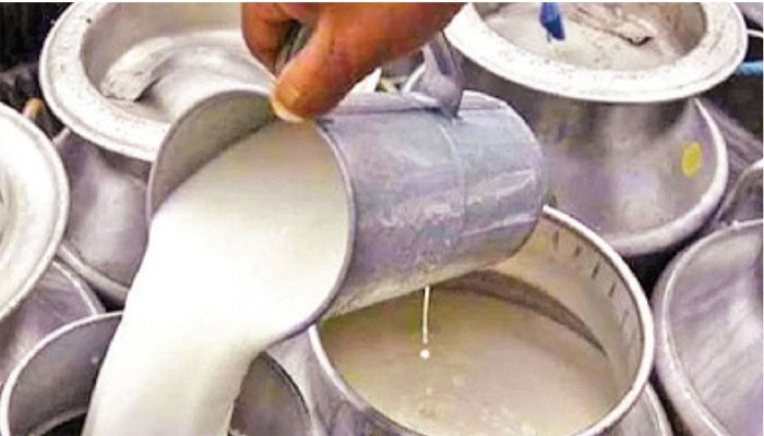 দুধের উৎপাদন বাড়াতে নতুন প্রকল্প দুধের উৎপাদন বাড়াতে নতুন প্রকল্প