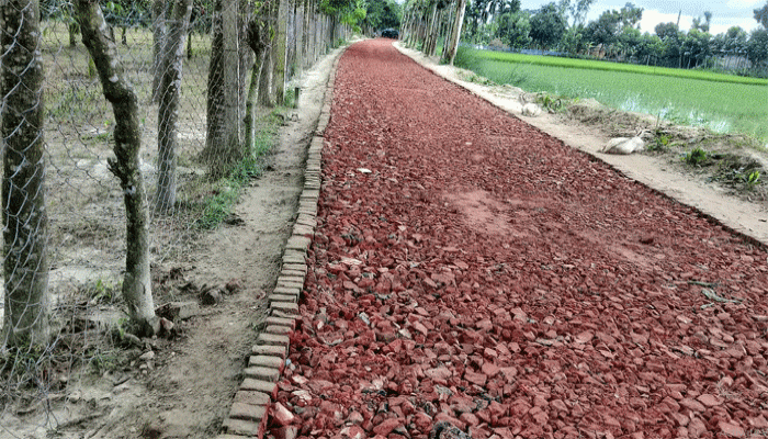 রাণীশংকৈলে সরকারি খাস জমি রেখে মালিকানা জমিতে রাস্তা পাকা করণের অভিযোগ রাণীশংকৈলে সরকারি খাস জমি রেখে মালিকানা জমিতে রাস্তা পাকা করণের অভিযোগ