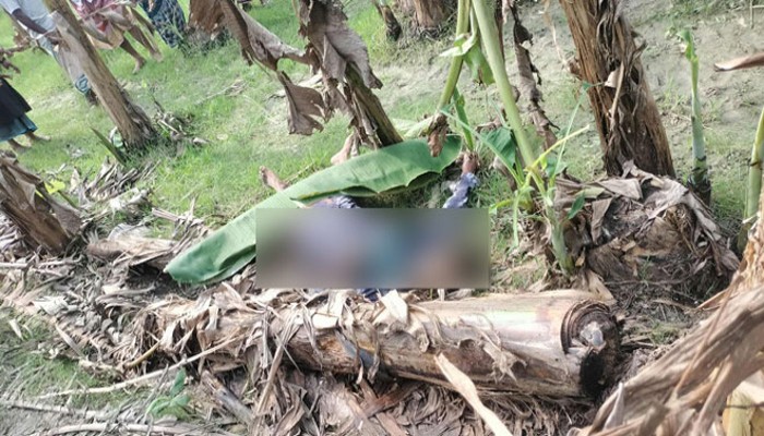 পুঠিয়ায় গলায় গামছা প্যাঁচানো ভ্যানচালকের লাশ উদ্ধার পুঠিয়ায় গলায় গামছা প্যাঁচানো ভ্যানচালকের লাশ উদ্ধার