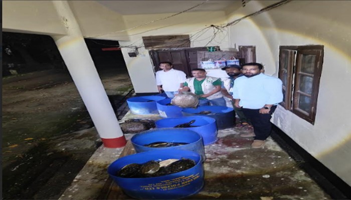 নোয়াখালীতে ৪২৫ কচ্ছপ উদ্ধার নোয়াখালীতে ৪২৫ কচ্ছপ উদ্ধার