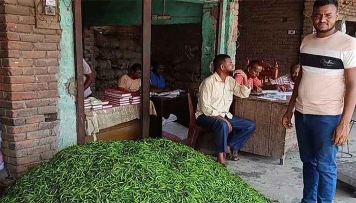 আমদানি বন্ধের খবরে মেহেরপুরে কাঁচামরিচের দাম এক লাফে দ্বিগুণ