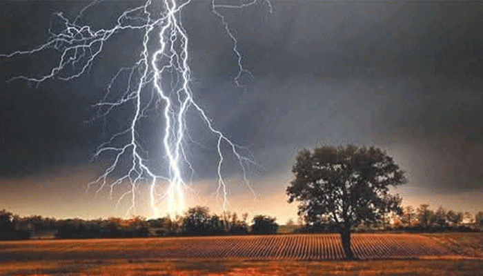 রাণীনগরে বজ্রপাতে একজনের মৃত্যু রাণীনগরে বজ্রপাতে একজনের মৃত্যু
