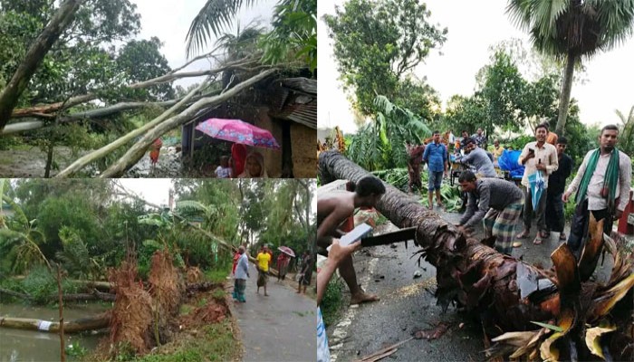 নওগাঁয় ঝড়ে ঘরবাড়ি, গাছপালা ক্ষতিগ্রস্ত; জেলের মৃত্যু নওগাঁয় ঝড়ে ঘরবাড়ি, গাছপালা ক্ষতিগ্রস্ত; জেলের মৃত্যু