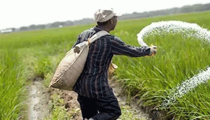 ৭২২ কোটি টাকার সার কিনবে সরকার ৭২২ কোটি টাকার সার কিনবে সরকার