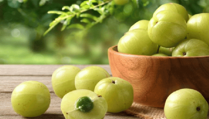 আমলকির ভোলবদল হোক ৭ কৌশলে, বিনা বাক্যব্যয়ে খেয়ে নেবে আমলকির ভোলবদল হোক ৭ কৌশলে, বিনা বাক্যব্যয়ে খেয়ে নেবে