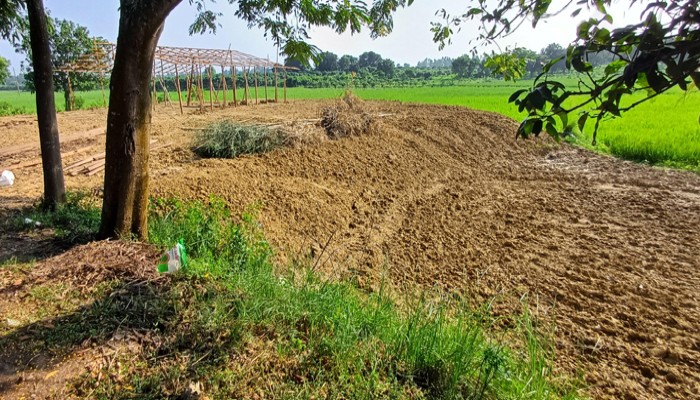 তানোরে অনুমতি ব্যতিত কৃষি জমির মাটি কেটে কৃষি জমি ভরাট তানোরে অনুমতি ব্যতিত কৃষি জমির মাটি কেটে কৃষি জমি ভরাট
