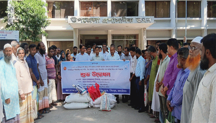 সিংড়ায়  শীতকালীন সবজি বীজ বিতরণ সিংড়ায়  শীতকালীন সবজি বীজ বিতরণ