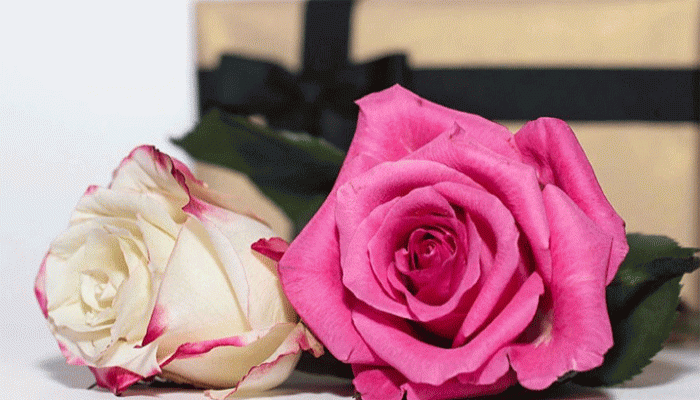 প্রভাবশালী ৫ নারী সাহাবি প্রভাবশালী ৫ নারী সাহাবি