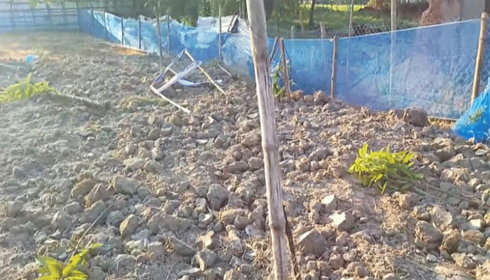 তানোরে যুবদল নেতাকে ফাঁসাতে আওয়ামী লীগ নেতার নাটক! তানোরে যুবদল নেতাকে ফাঁসাতে আওয়ামী লীগ নেতার নাটক!