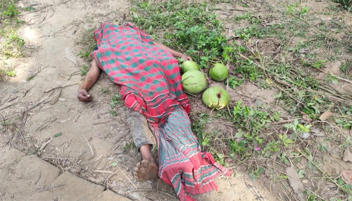 বদলগাছীতে ডাব চুরি করতে গিয়ে গাছ থেকে পড়ে এক যুবকের মৃত্যু! বদলগাছীতে ডাব চুরি করতে গিয়ে গাছ থেকে পড়ে এক যুবকের মৃত্যু!