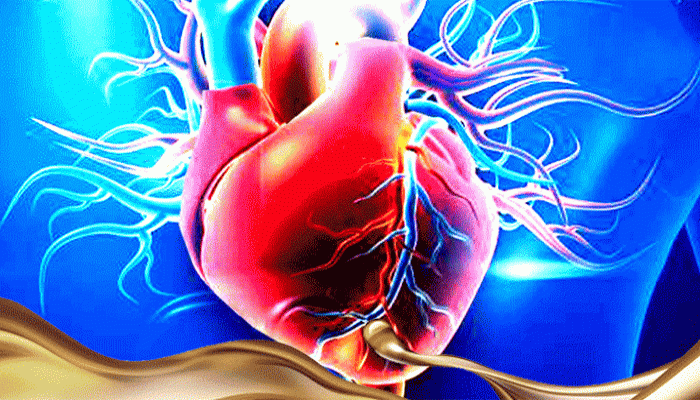 চারটি খাবার কেনা বন্ধ করলেই হার্ট অ্যাটাকের ঝুঁকি এড়ানো সম্ভব চারটি খাবার কেনা বন্ধ করলেই হার্ট অ্যাটাকের ঝুঁকি এড়ানো সম্ভব