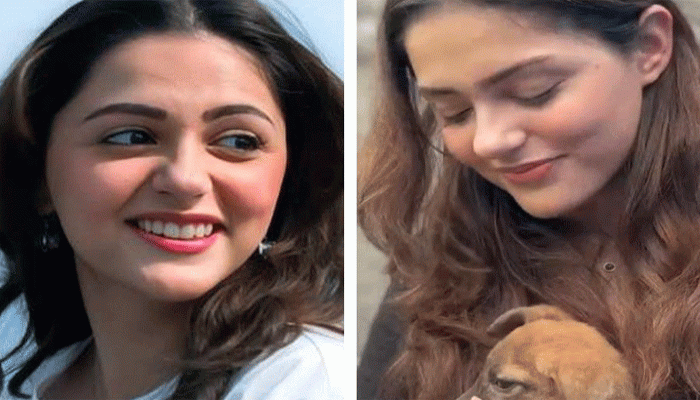 পথকুকুরদের প্রসঙ্গে আপ্লুত ‘সইয়ারা’ খ্যাত অভিনেত্রী অনীত পথকুকুরদের প্রসঙ্গে আপ্লুত ‘সইয়ারা’ খ্যাত অভিনেত্রী অনীত