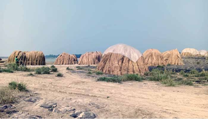 টাকার গন্ধে রক্তাক্ত পদ্মার কাশফুল, নেপথ্যে কাকন বাহিনীর শত কোটি টাকার খর বাণিজ্য