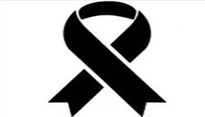 বিচারকের ছেলে হত্যা: নিরাপত্তা দাবিতে দেশজুড়ে বিচারকদের কালো ব্যাজ ধারণ